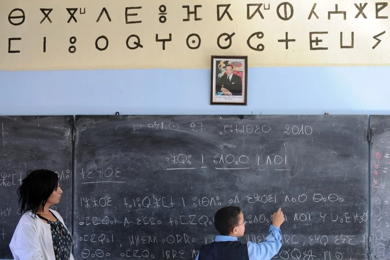 فعاليات تشكك في أرقام وزارة التربية الوطنية بشأن نسبة تدريس الأمازيغية